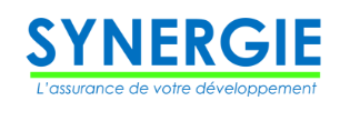 logo-synergie